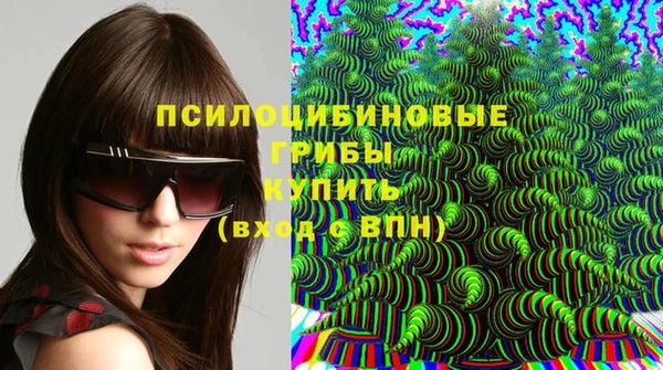 хмурый Белоозёрский
